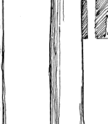 The Five Orders of Architecture, after Perrault